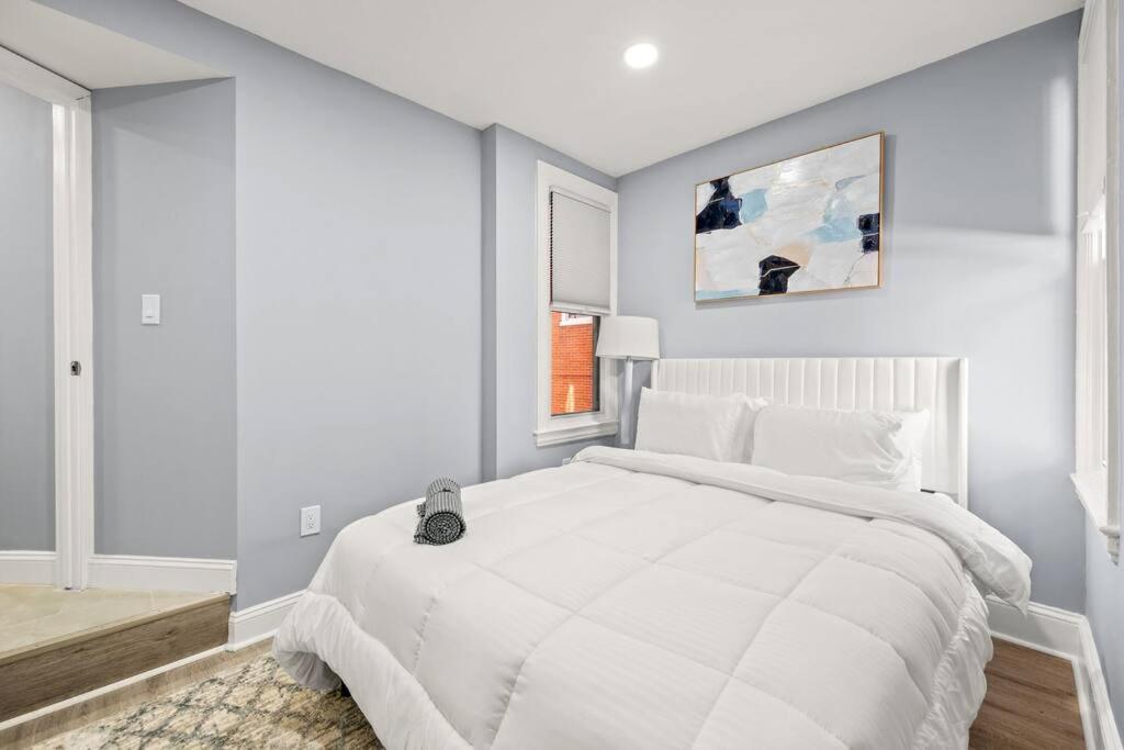 New! Cozy Apt In Center City! Filadelfia Zewnętrze zdjęcie